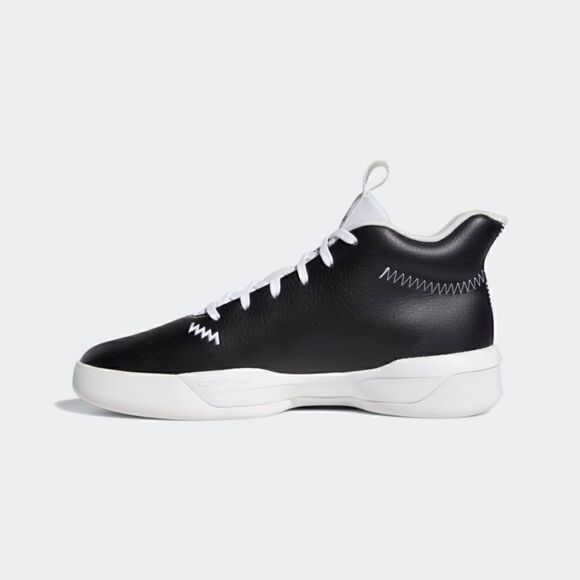 Adidas Pro Next 2019  - Picture 7 of 8